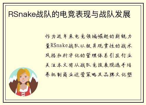 RSnake战队的电竞表现与战队发展