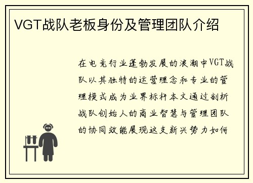 VGT战队老板身份及管理团队介绍