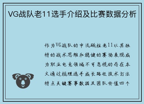 VG战队老11选手介绍及比赛数据分析
